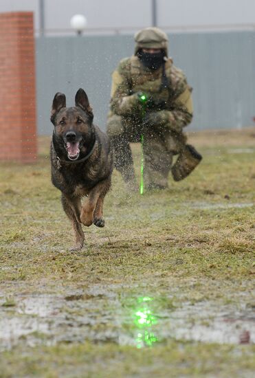 Training of canine services of National Guard Troops Service