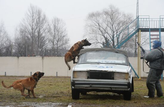 Training of canine services of National Guard Troops Service