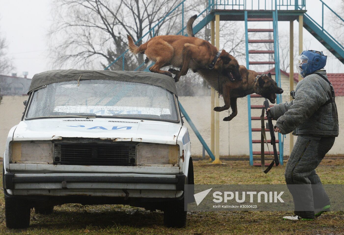 Training of canine services of National Guard Troops Service