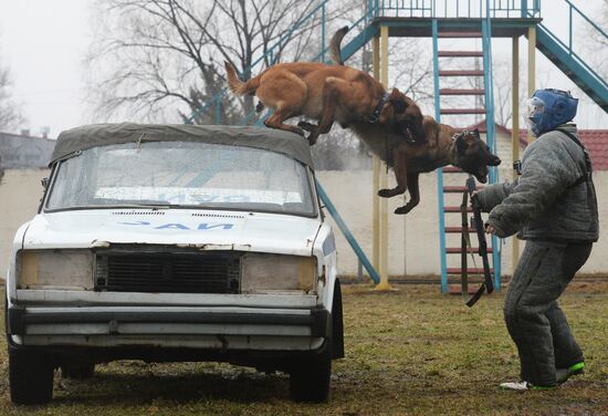 Training of canine services of National Guard Troops Service