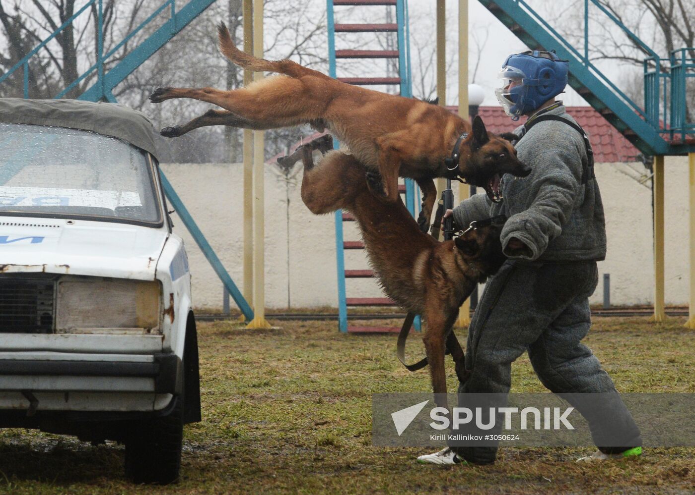 Training of canine services of National Guard Troops Service