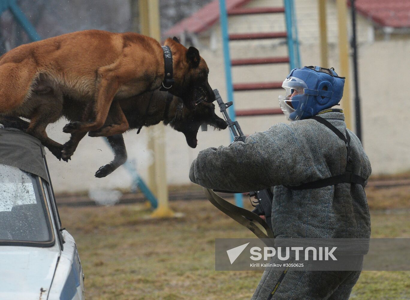 Training of canine services of National Guard Troops Service