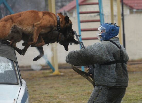 Training of canine services of National Guard Troops Service