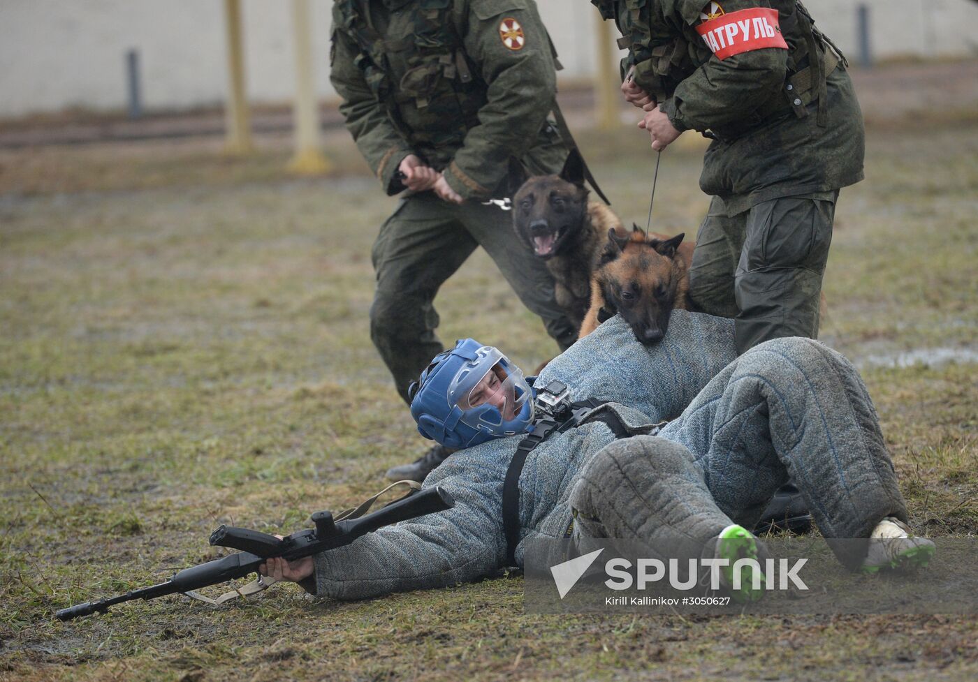 Training of canine services of National Guard Troops Service