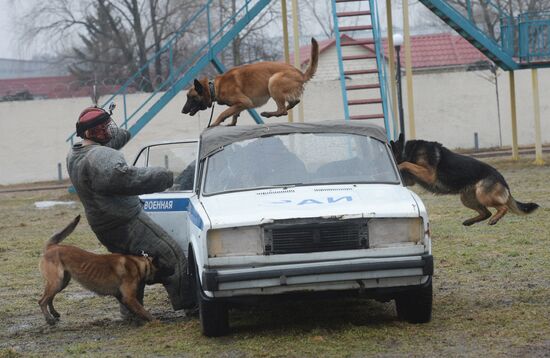 Training of canine services of National Guard Troops Service