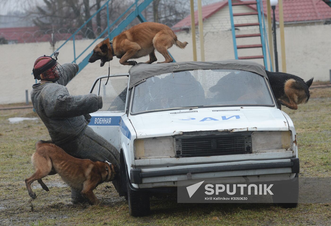 Training of canine services of National Guard Troops Service
