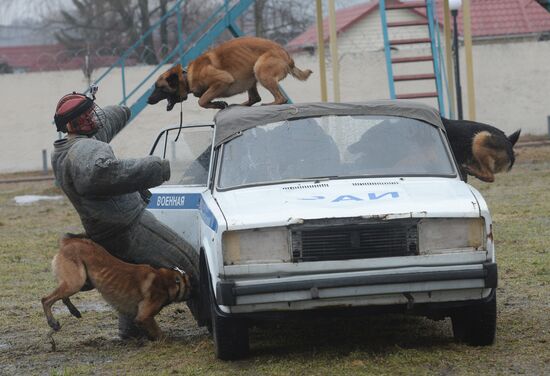 Training of canine services of National Guard Troops Service