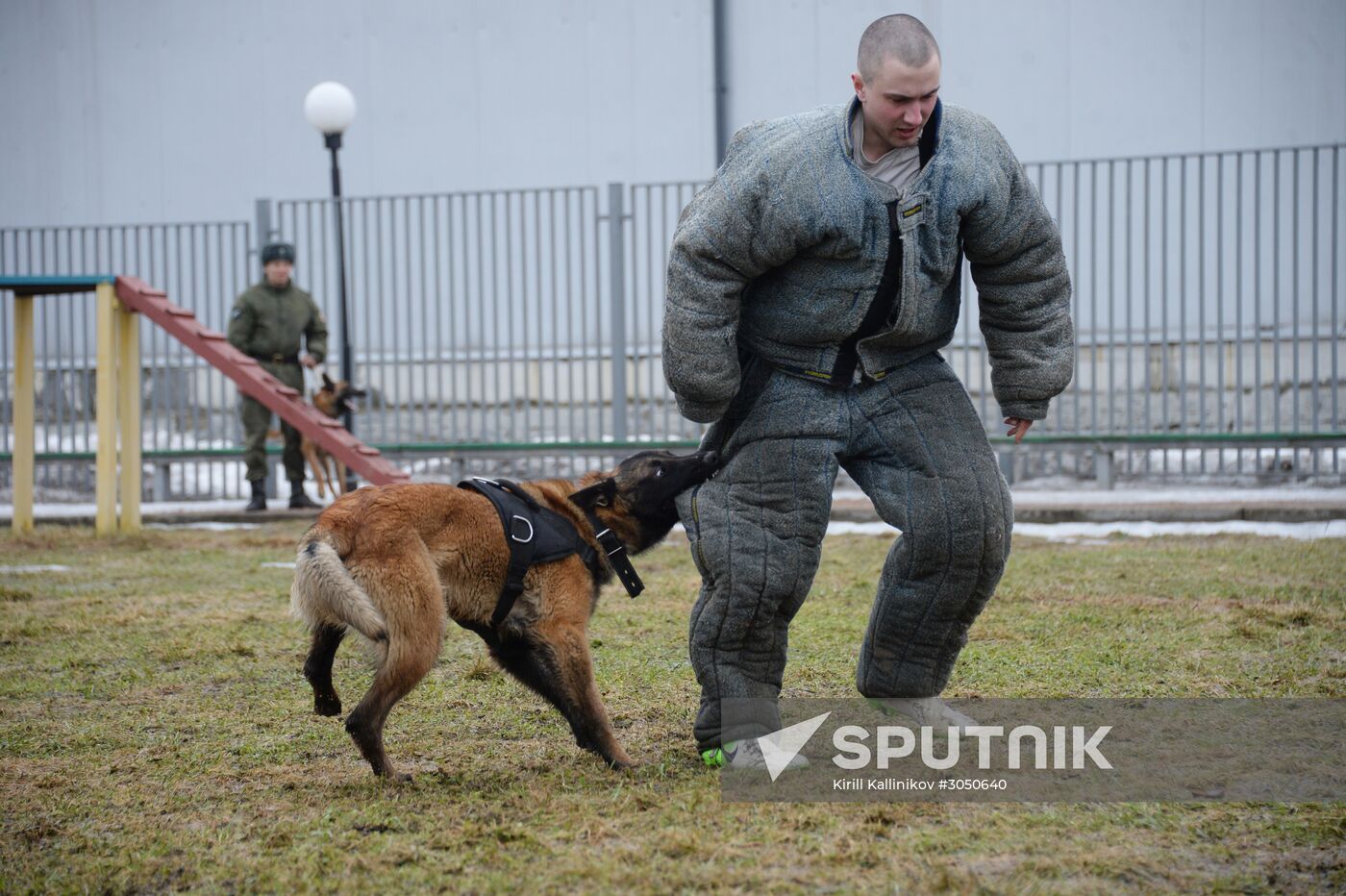 Training of canine services of National Guard Troops Service