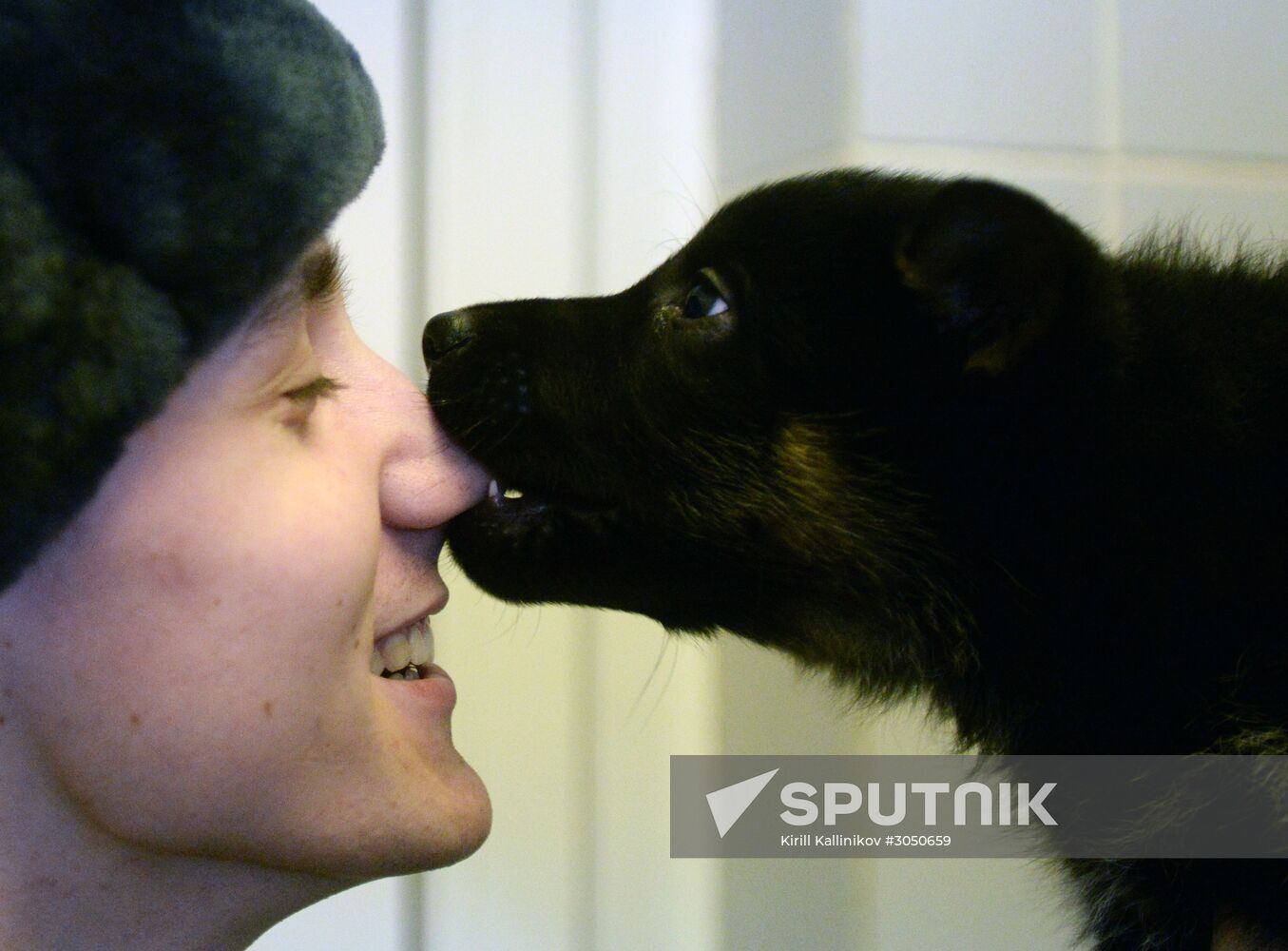 Training of canine services of National Guard Troops Service