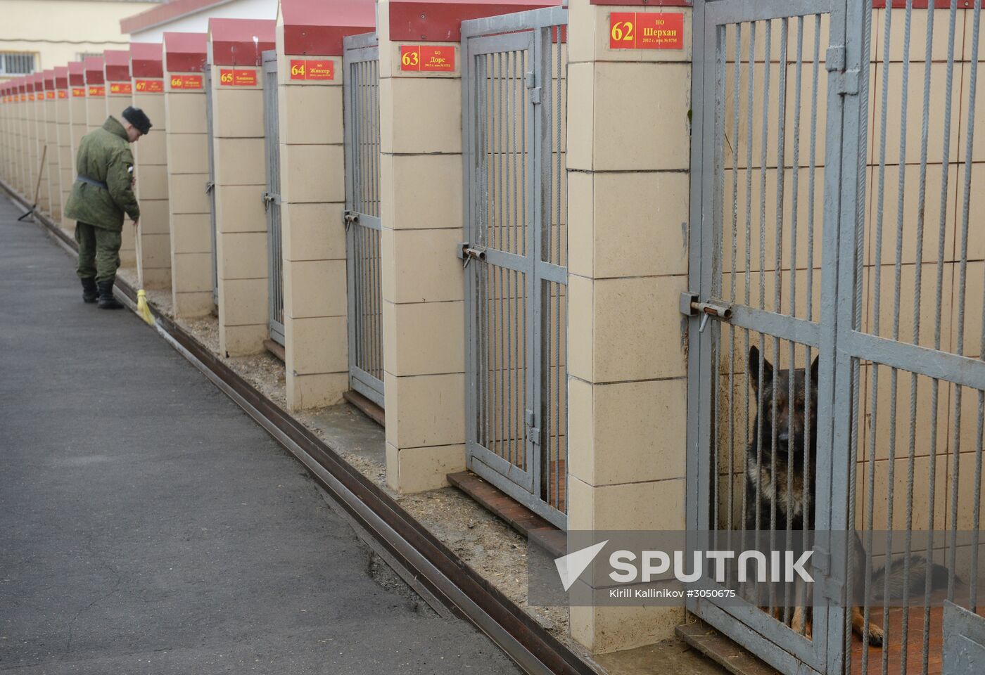 Training of canine services of National Guard Troops Service