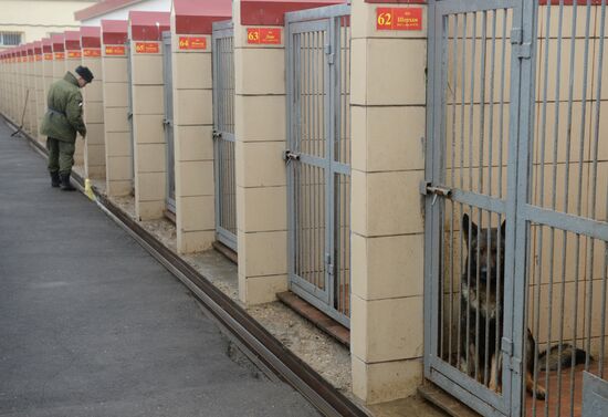 Training of canine services of National Guard Troops Service