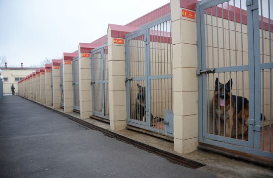 Training of canine services of National Guard Troops Service