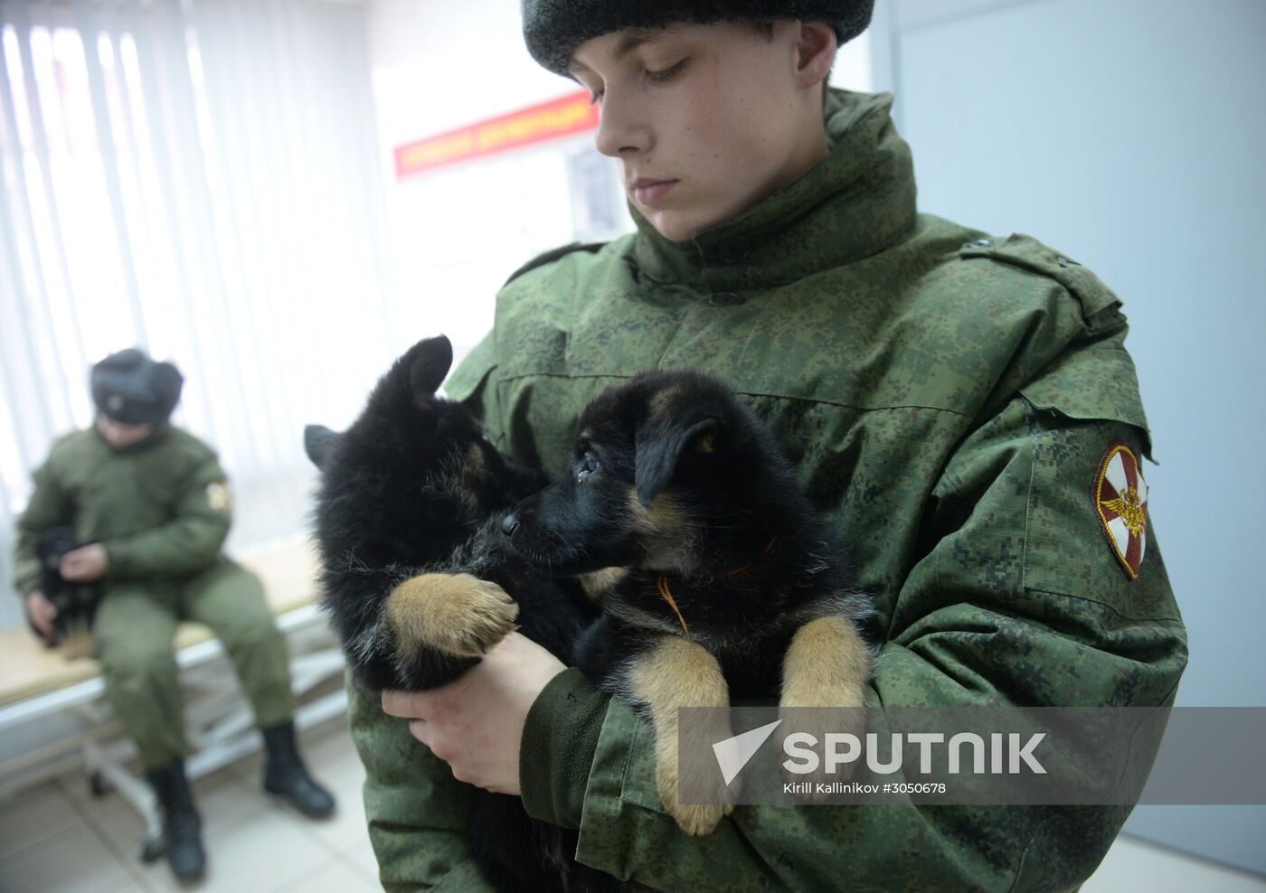 Training of canine services of National Guard Troops Service