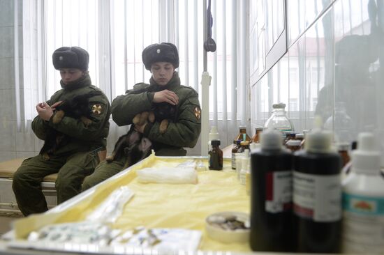 Training of canine services of National Guard Troops Service