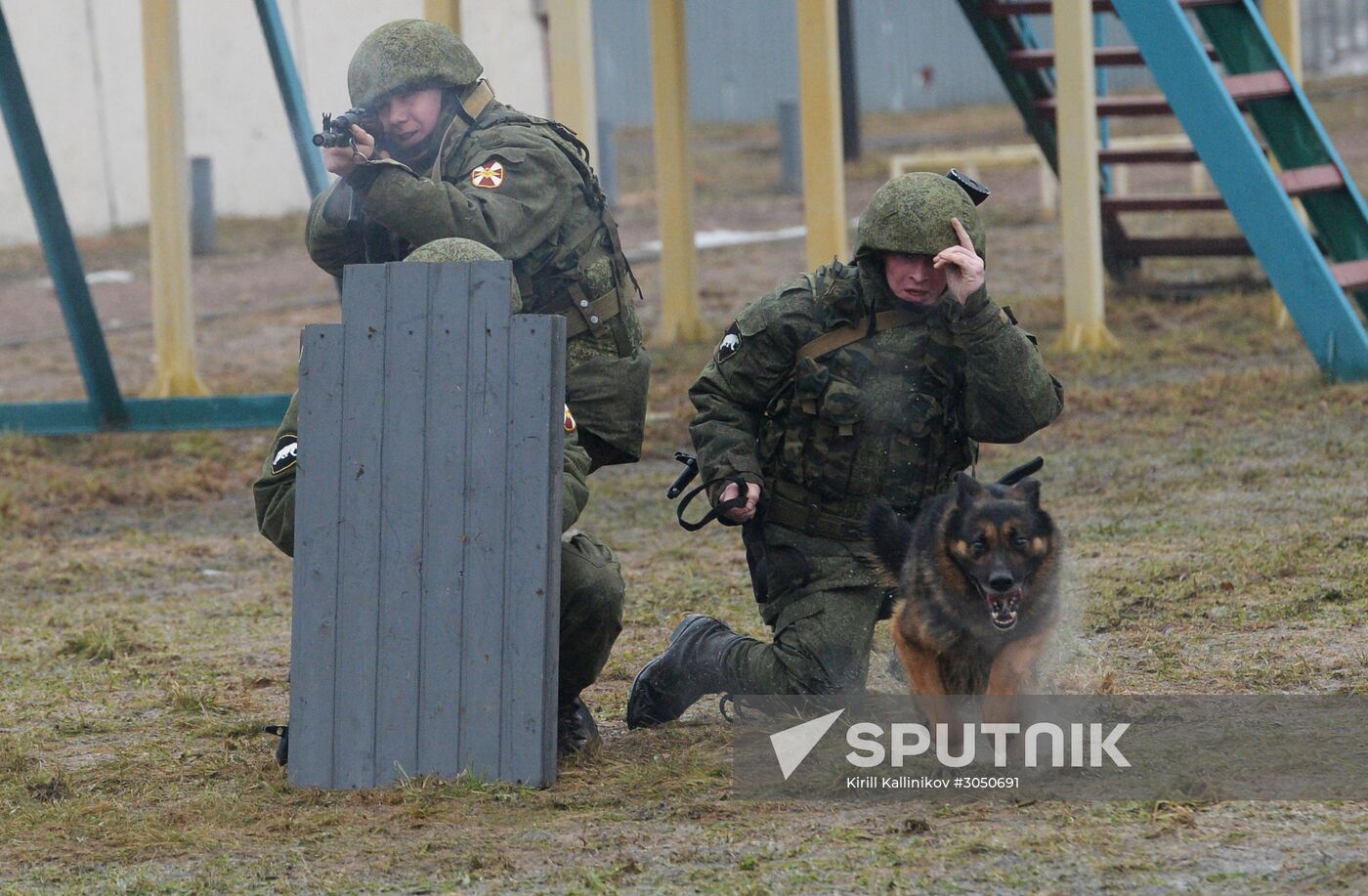 Training of canine services of National Guard Troops Service