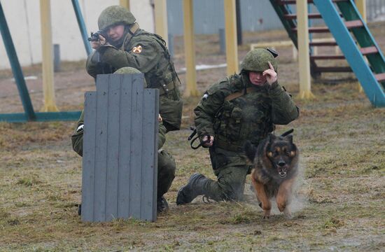 Training of canine services of National Guard Troops Service
