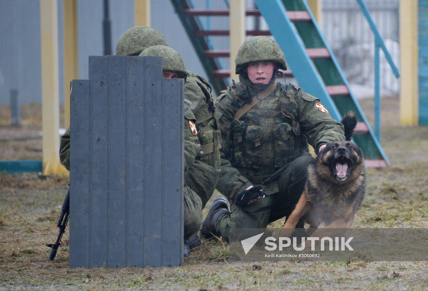 Training of canine services of National Guard Troops Service
