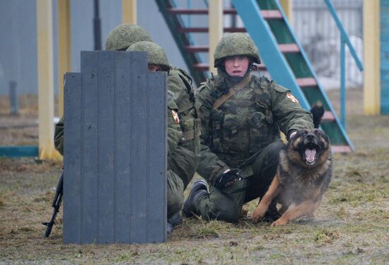 Training of canine services of National Guard Troops Service