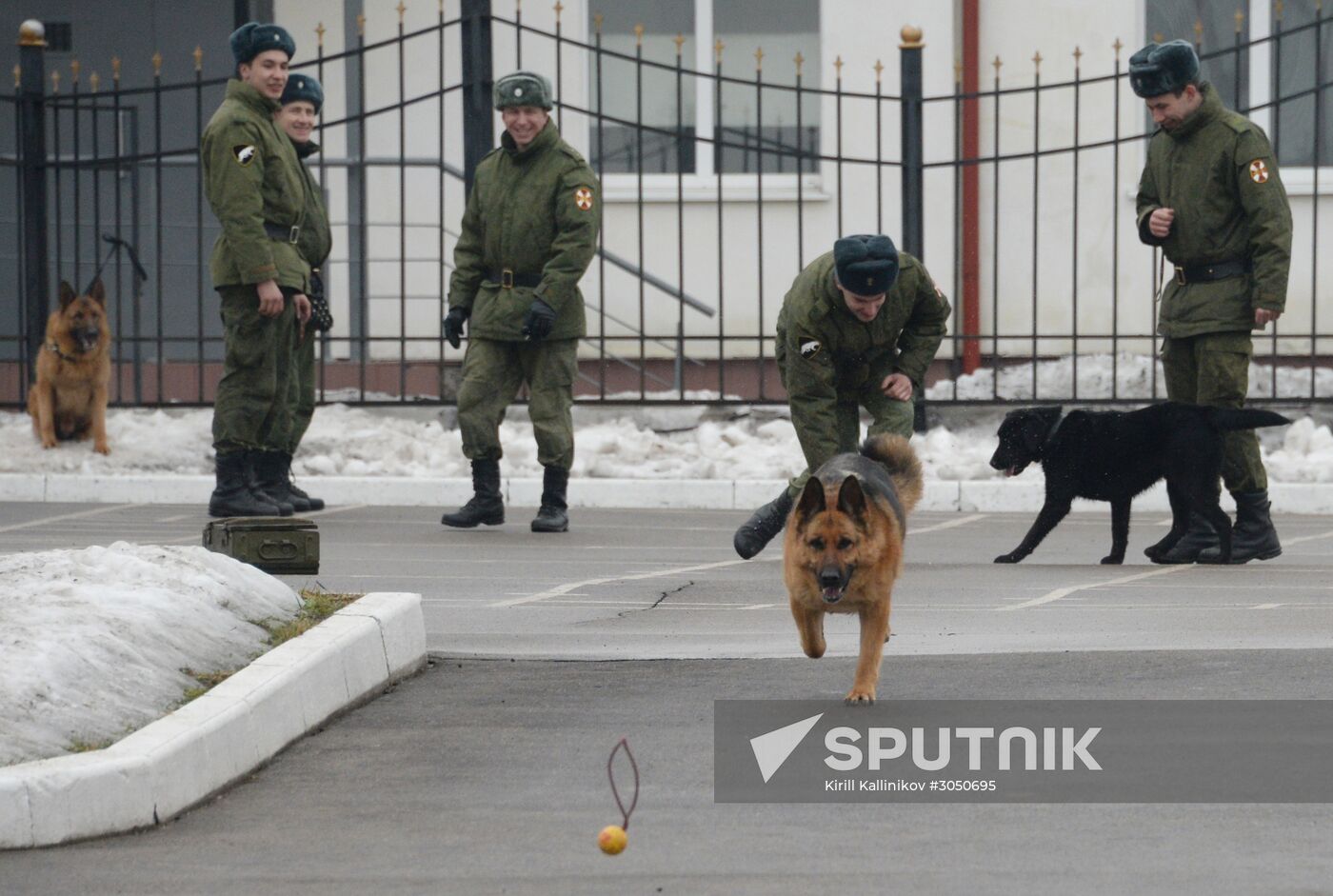 Training of canine services of National Guard Troops Service