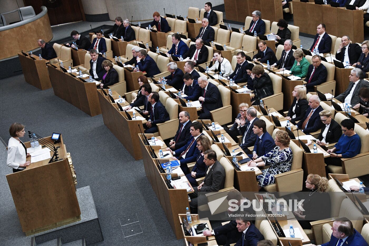 State Duma plenary meeting