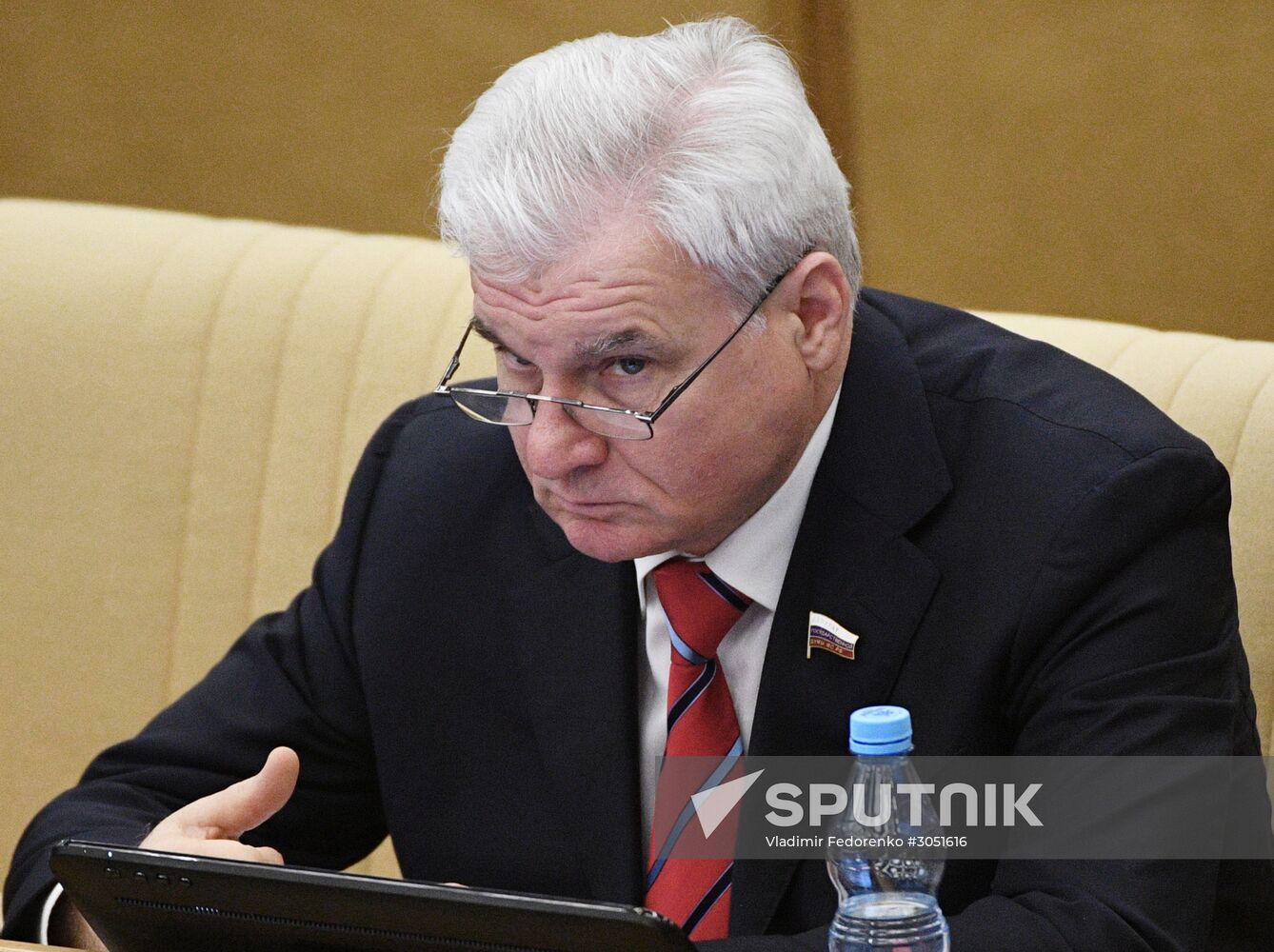 State Duma plenary meeting