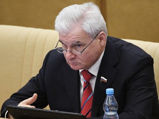 State Duma plenary meeting