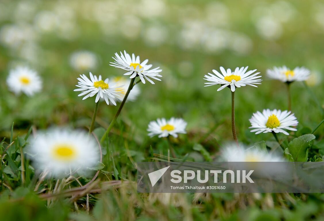Spring in Abkhazia