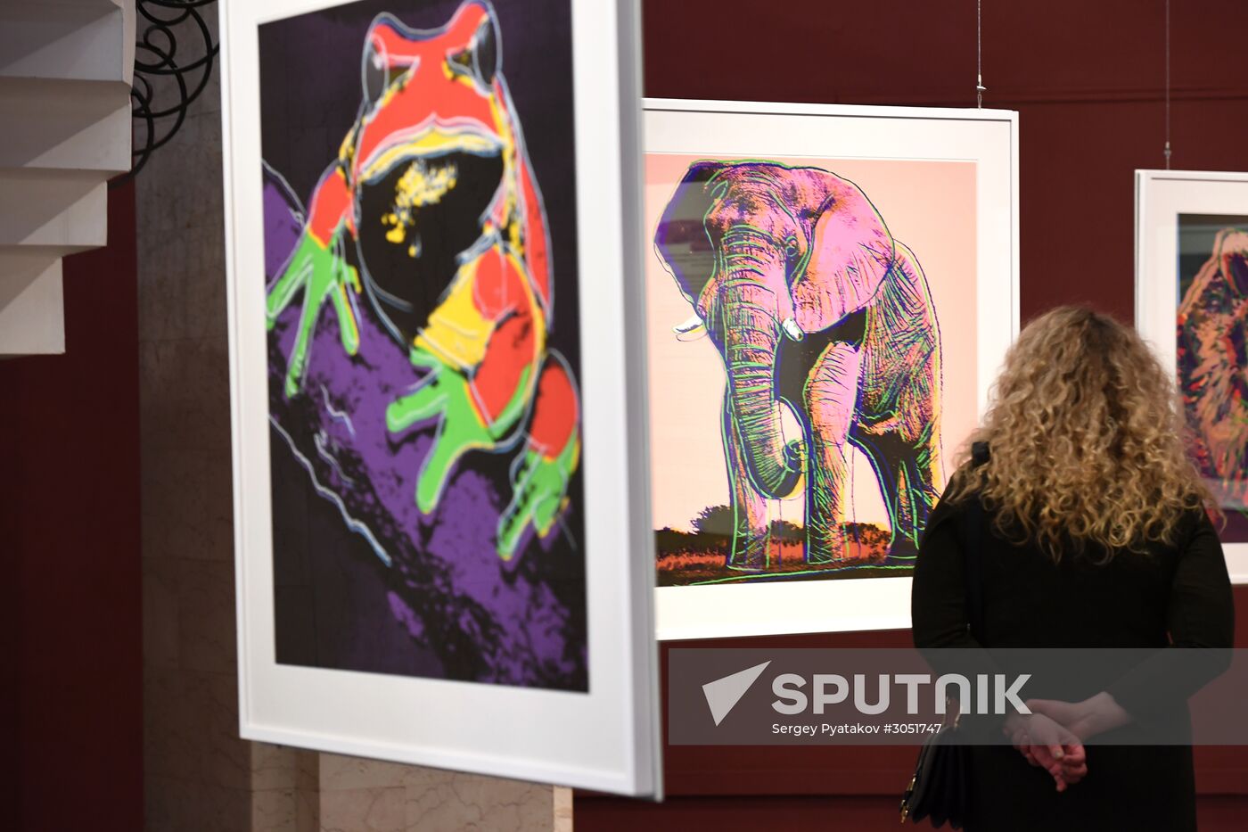 Andy Warhol exhibition at Darwin Museum