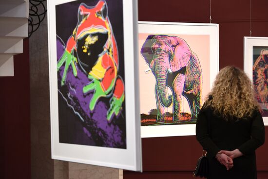 Andy Warhol exhibition at Darwin Museum