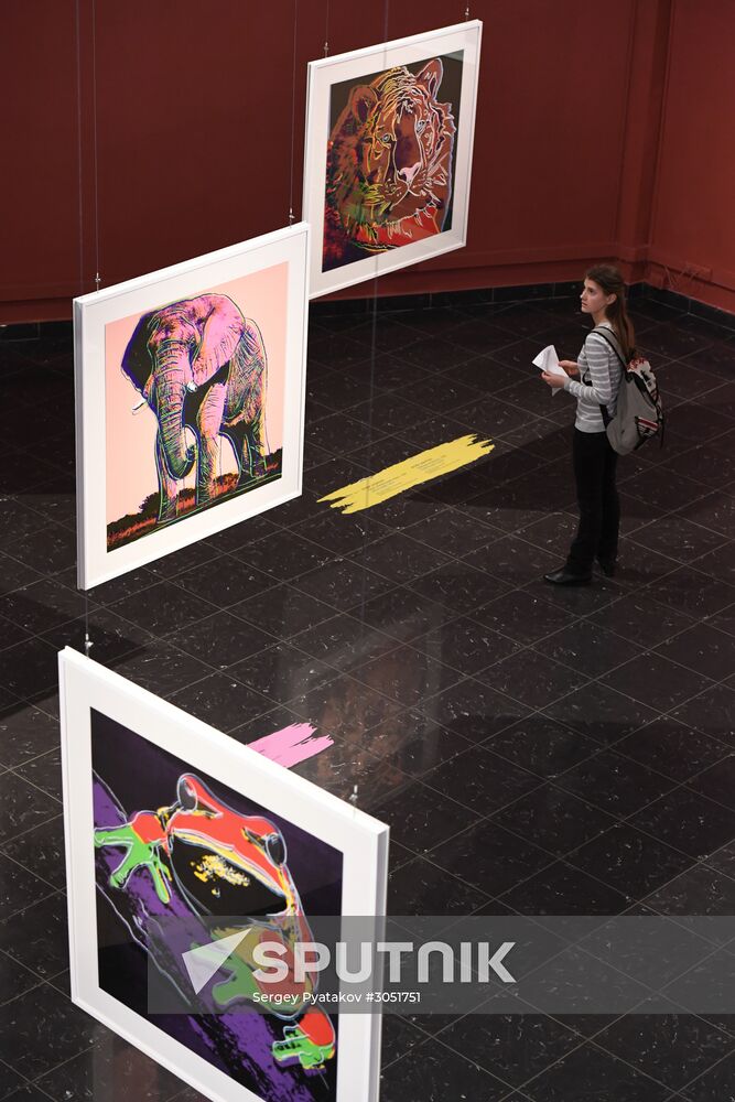 Andy Warhol exhibition at Darwin Museum