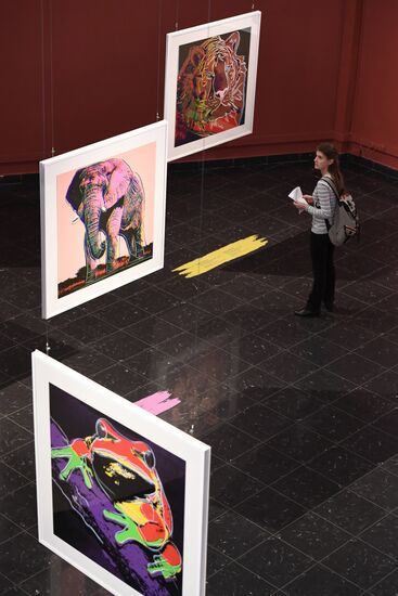 Andy Warhol exhibition at Darwin Museum