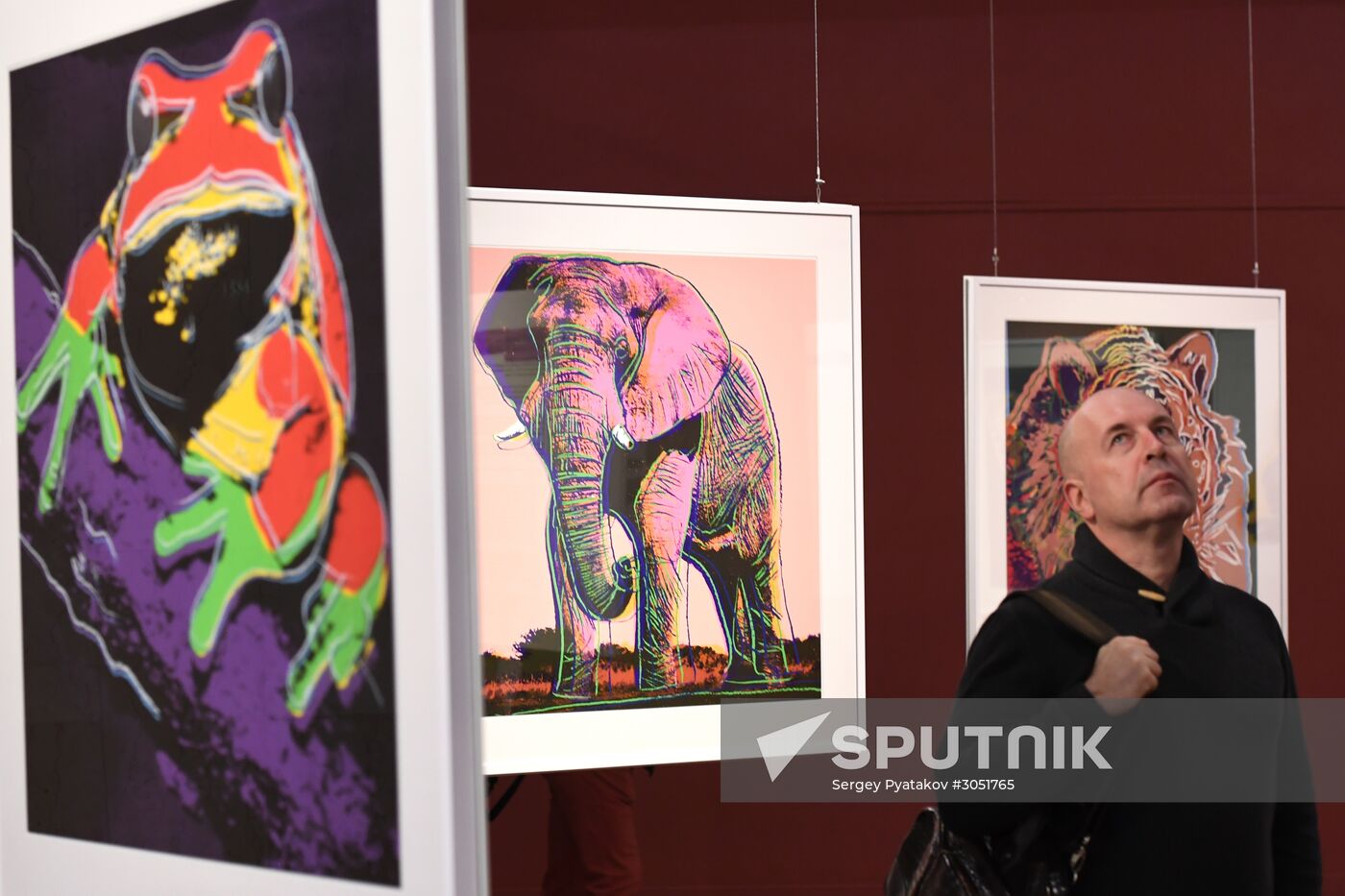 Andy Warhol exhibition at Darwin Museum