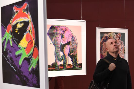 Andy Warhol exhibition at Darwin Museum