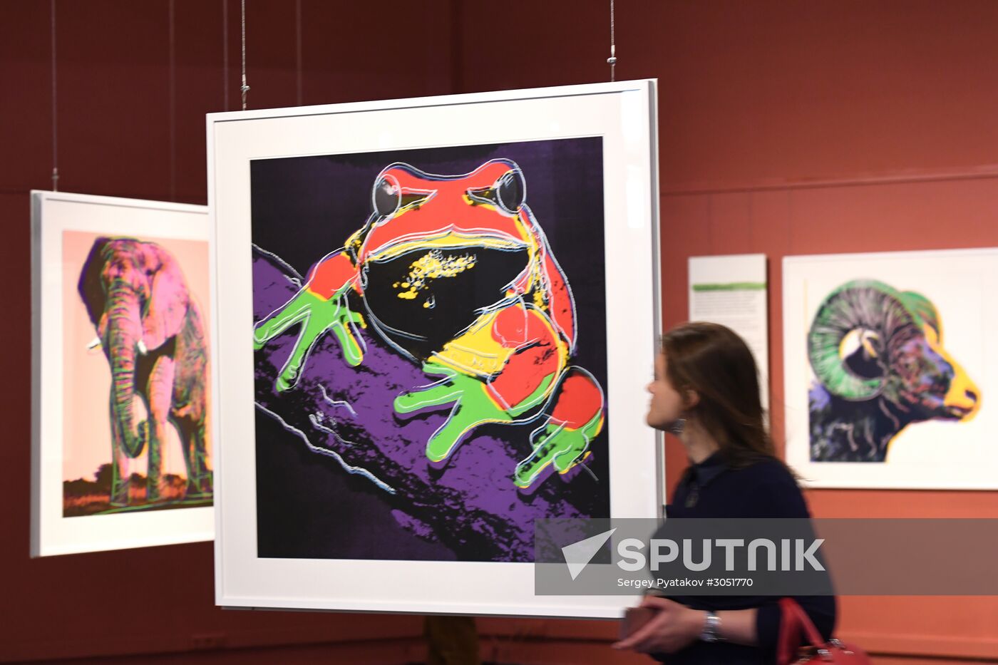 Andy Warhol exhibition at Darwin Museum