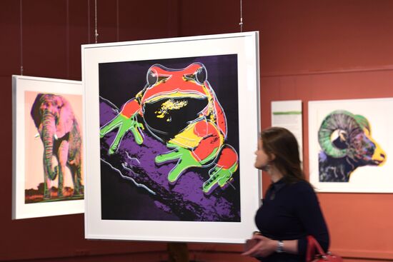 Andy Warhol exhibition at Darwin Museum
