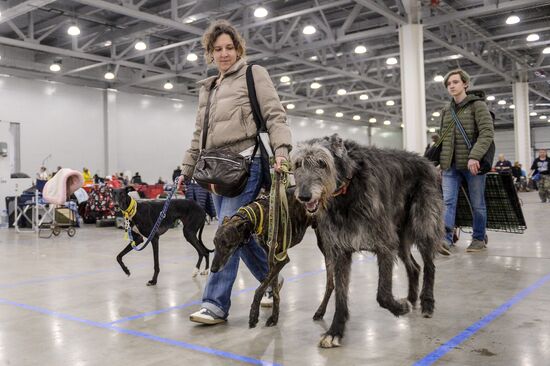 "Eurasia" dog show