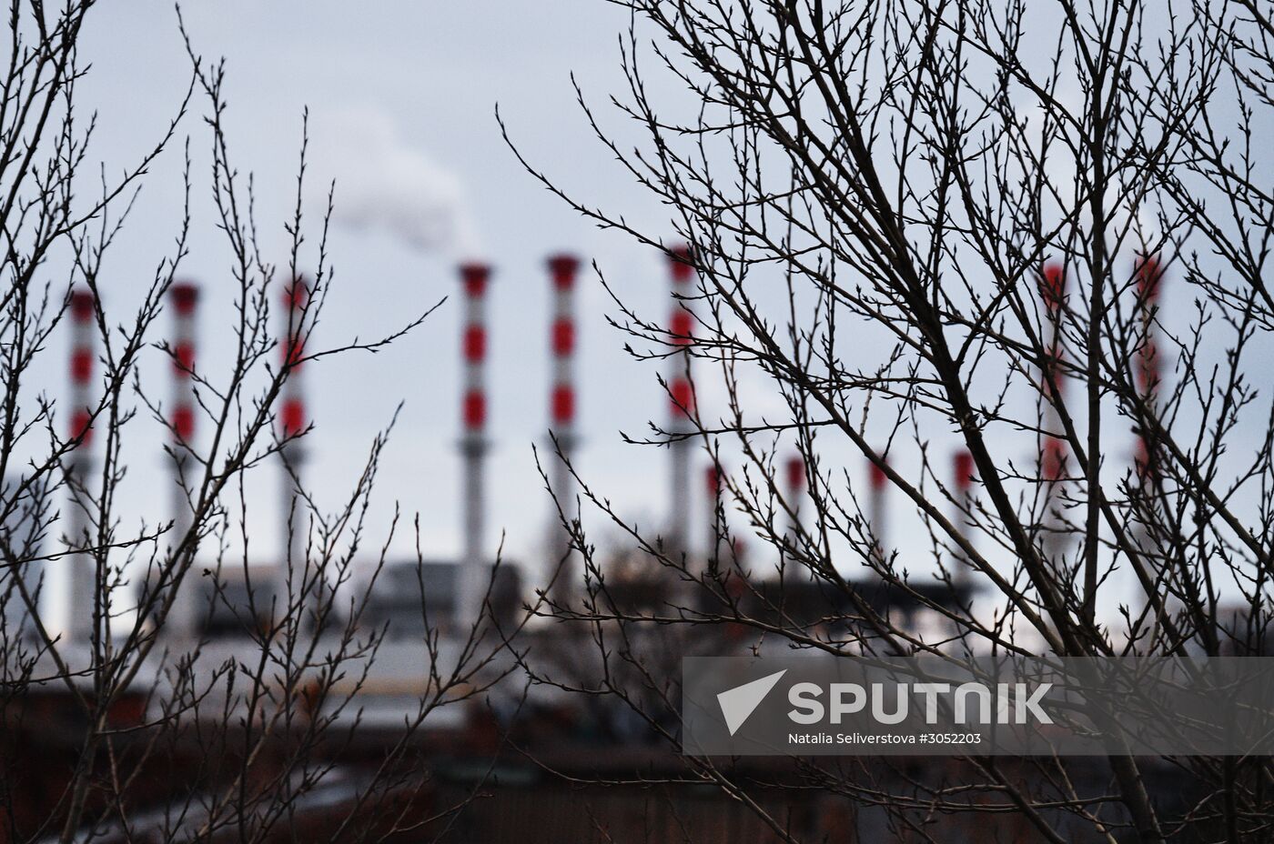 Combined heat and power plant