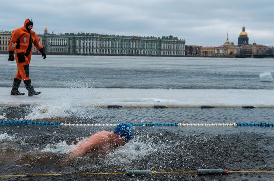 Winter swimming festival in St. Petersburg