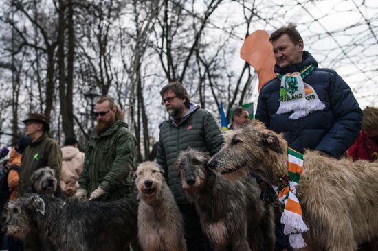 St. Patrick's Day Parade