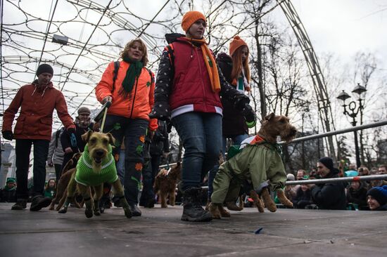 St. Patrick's Day Parade