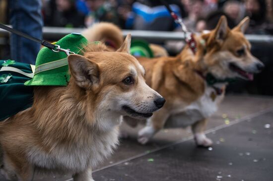 St. Patrick's Day Parade