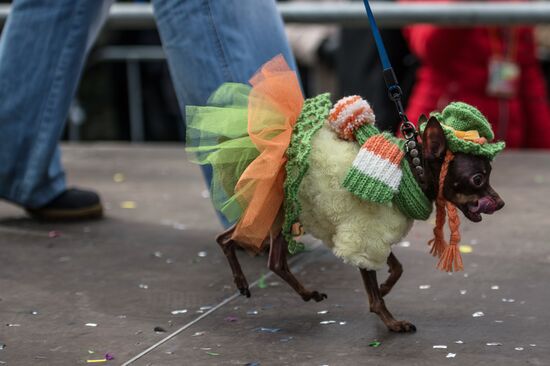 St. Patrick's Day Parade