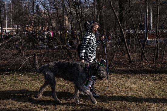 St. Patrick's Day Parade