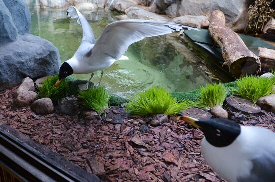 Moscow Zoo