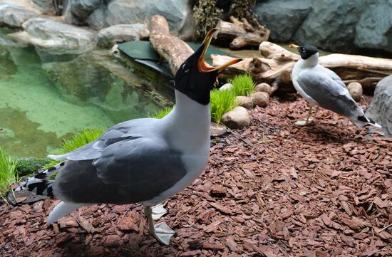 Moscow Zoo