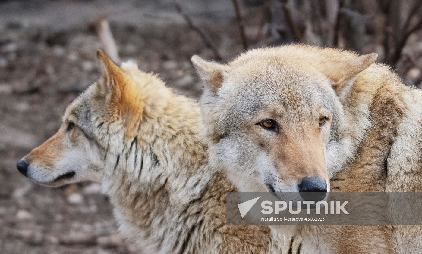 Moscow Zoo