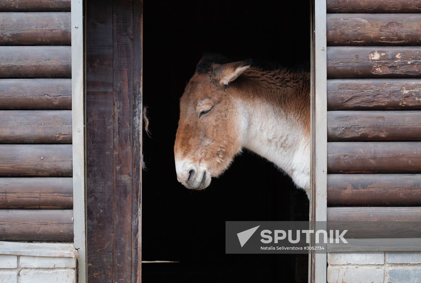 Moscow Zoo