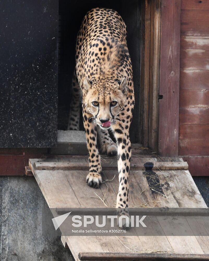 Moscow Zoo