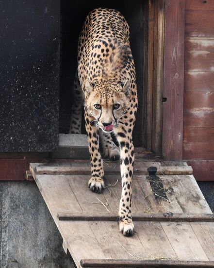 Moscow Zoo