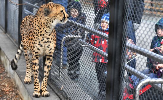 Moscow Zoo